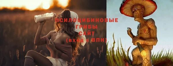a pvp Вязники